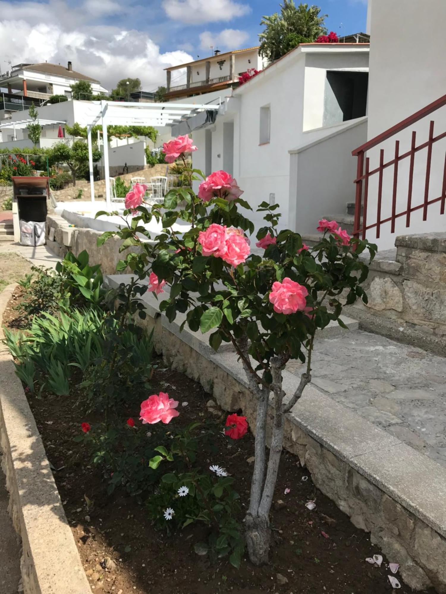 OlivellaCampagne Luxueuse De Sitges别墅 外观 照片